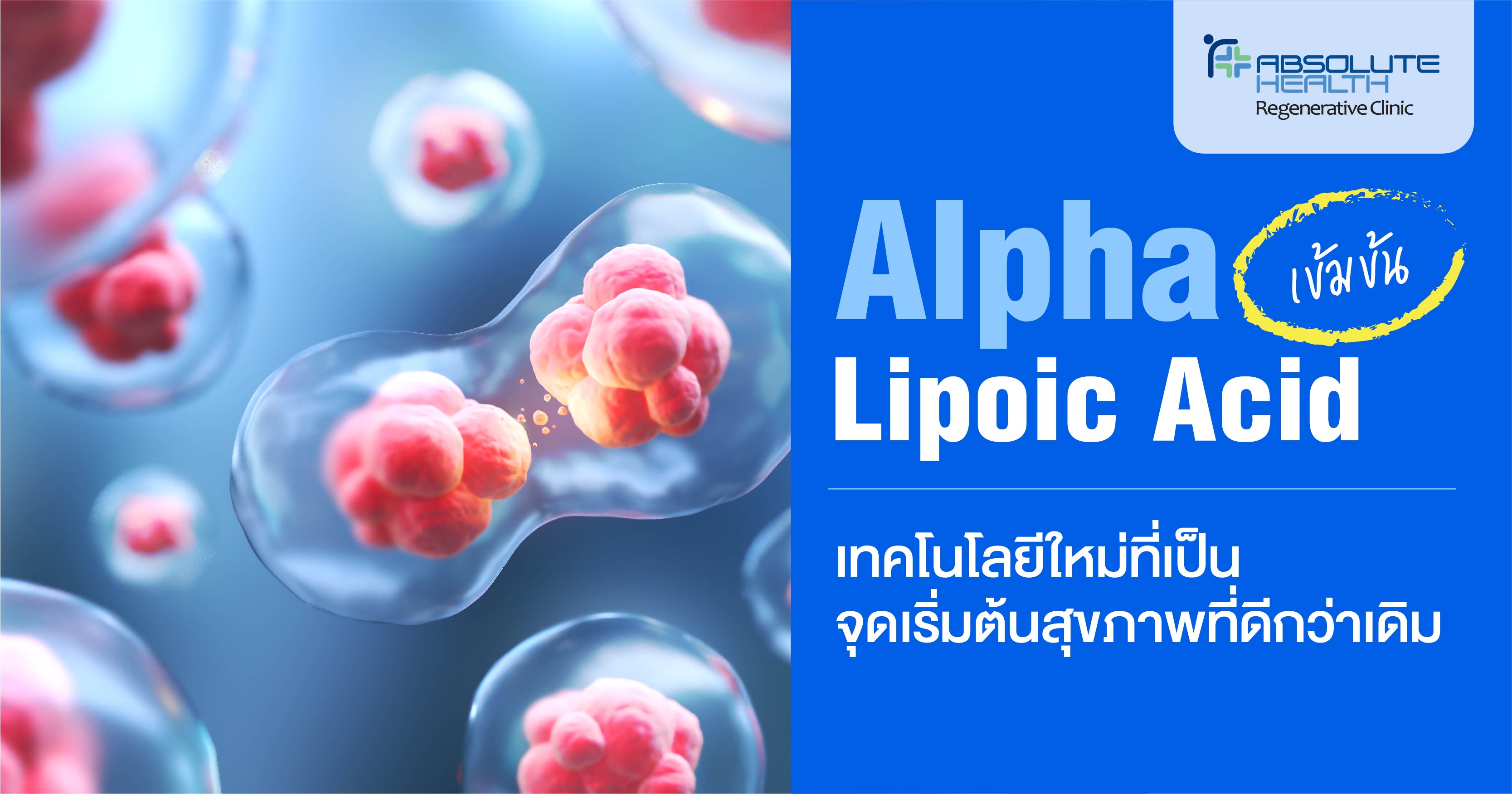 Alpha-Lipoic Acid เข้มข้น เทคโนโลยีใหม่ที่เป็นจุดเริ่มต้นสุขภาพที่ดีกว่าเดิม
