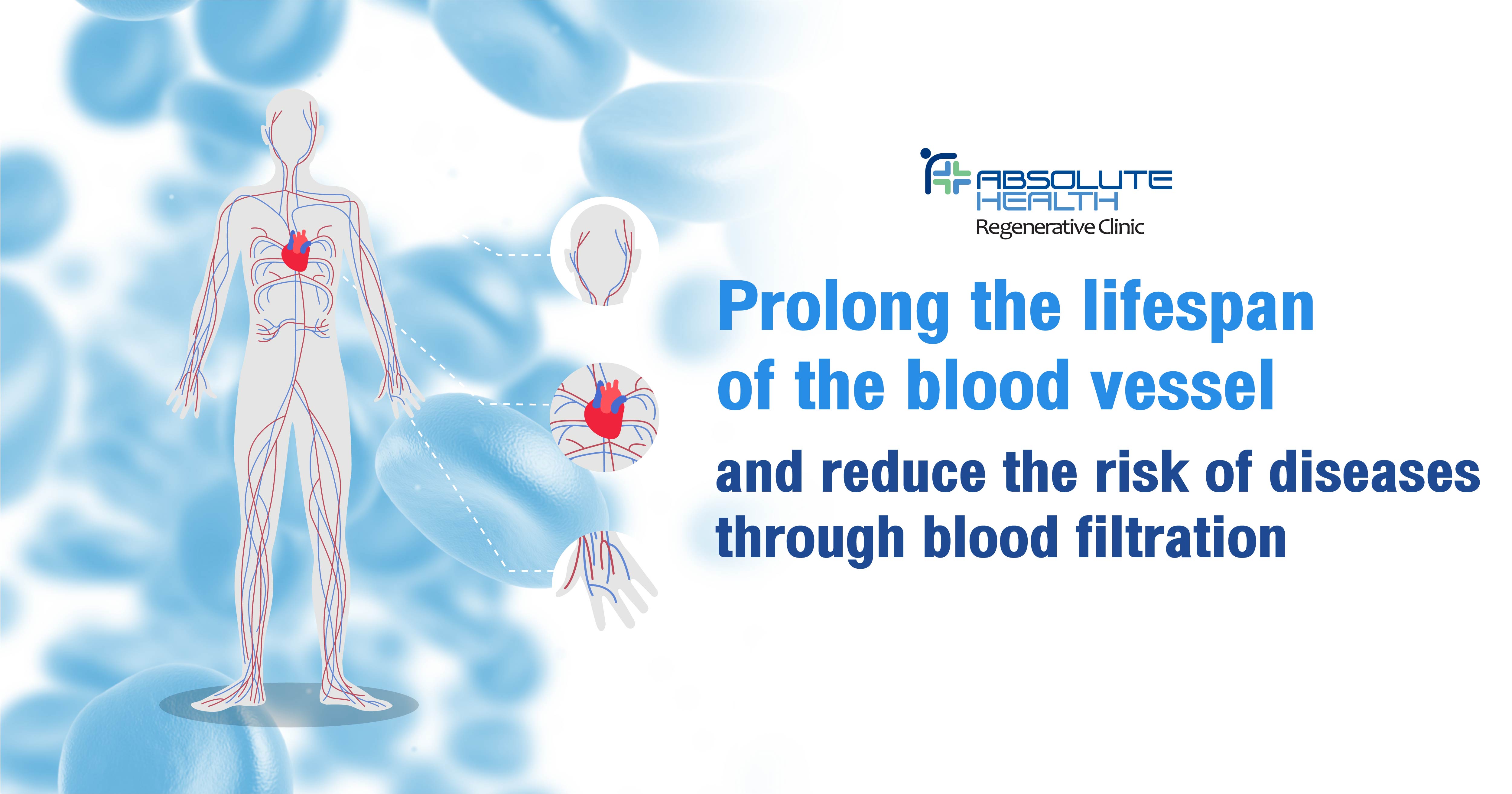 Prolong the lifespan of the blood vessel and reduce the risk of diseases through blood filtration 