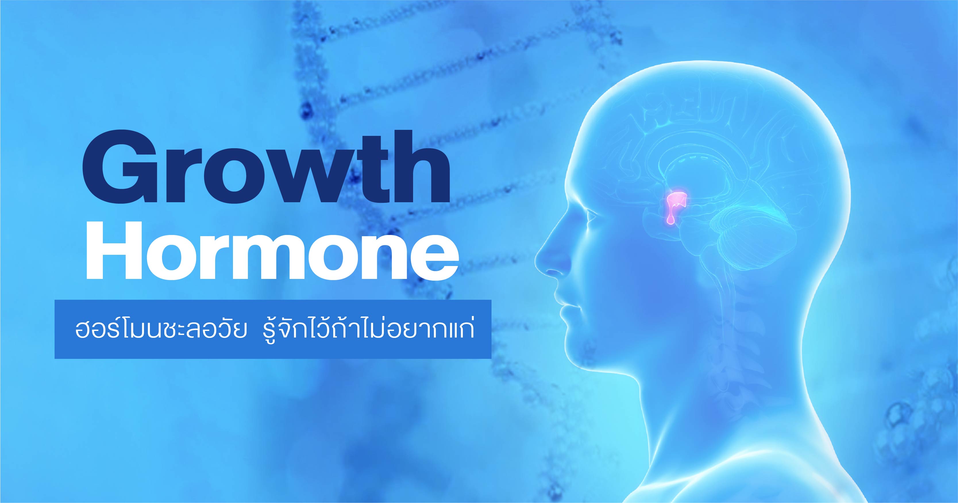 Growth Hormone    ฮอร์โมนชะลอวัย  รู้จักไว้ถ้าไม่อยากแก่ 