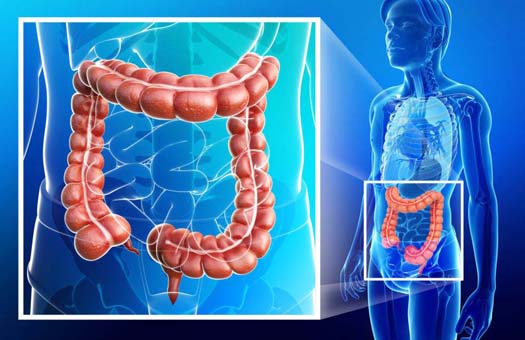 detox colon clean cure