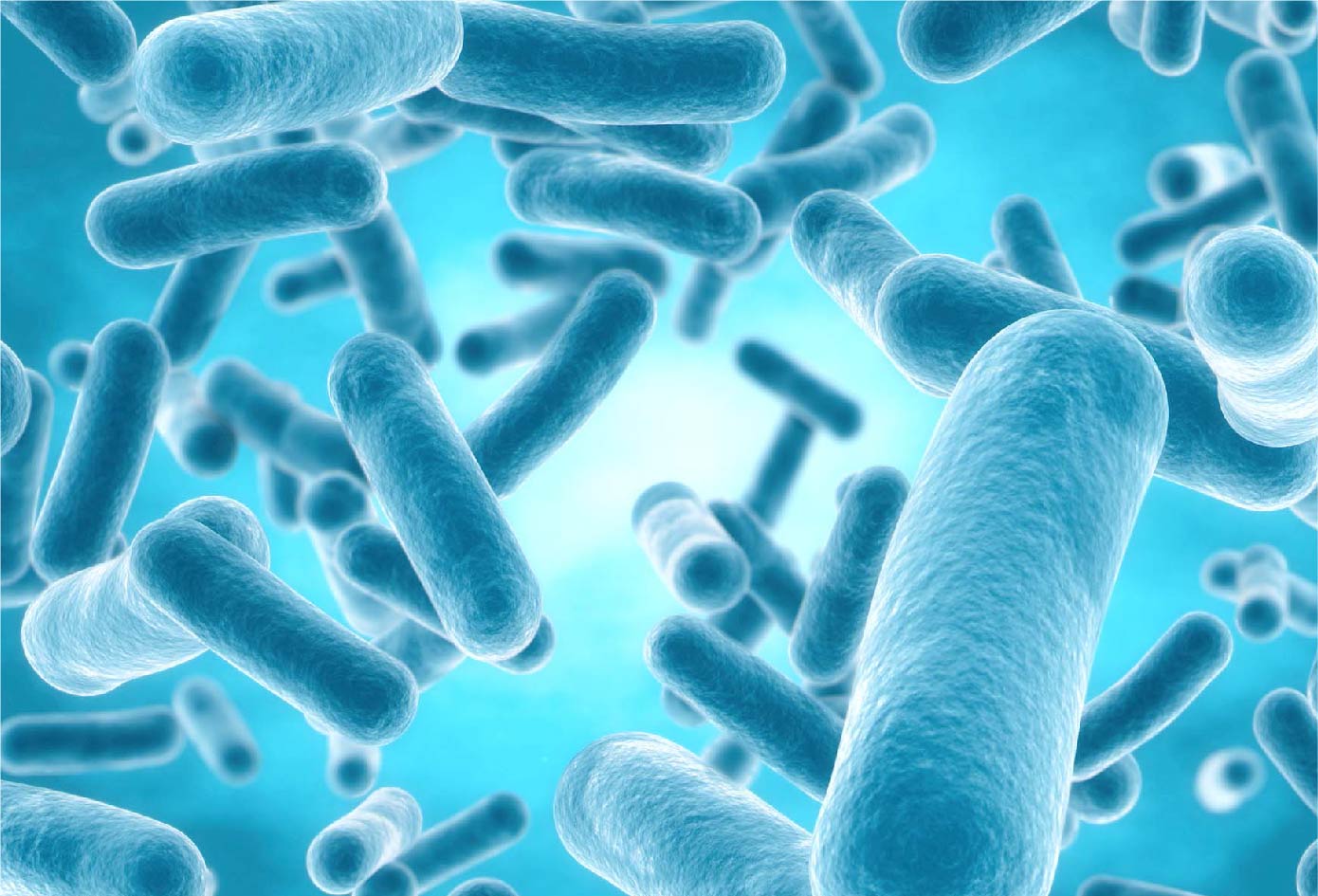 Lactobacillus plantarum пробиотик. Bacillus Coagulans. Бацилла. Пробиотики под микроскопом. Вирус слизь